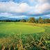 Campo de Golf