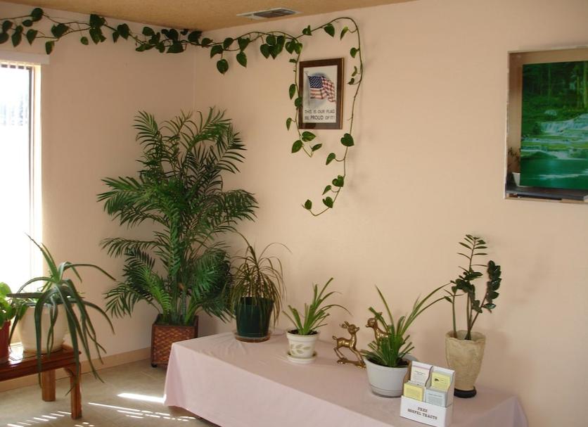 Servicio de la habitación Foto