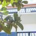 Vista del exterior