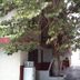 Vista del exterior