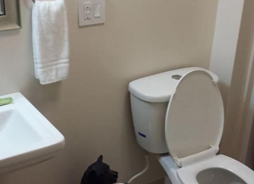 Baño Foto
