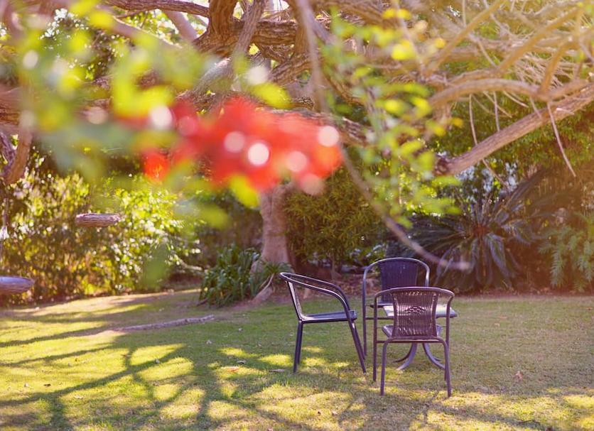 Patio Foto