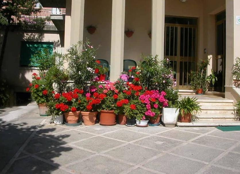 Vista del exterior Foto