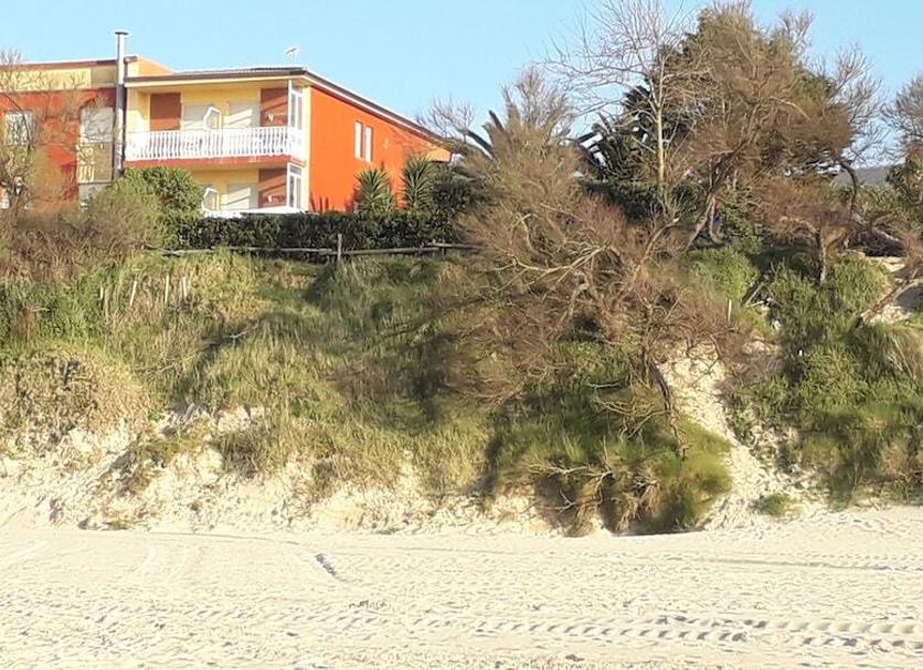 Otros Foto