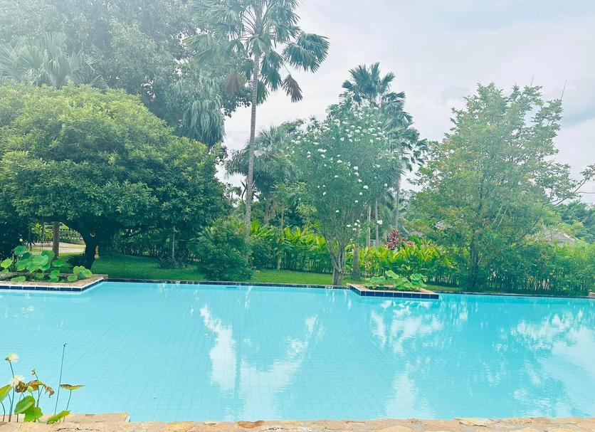 Piscina Foto