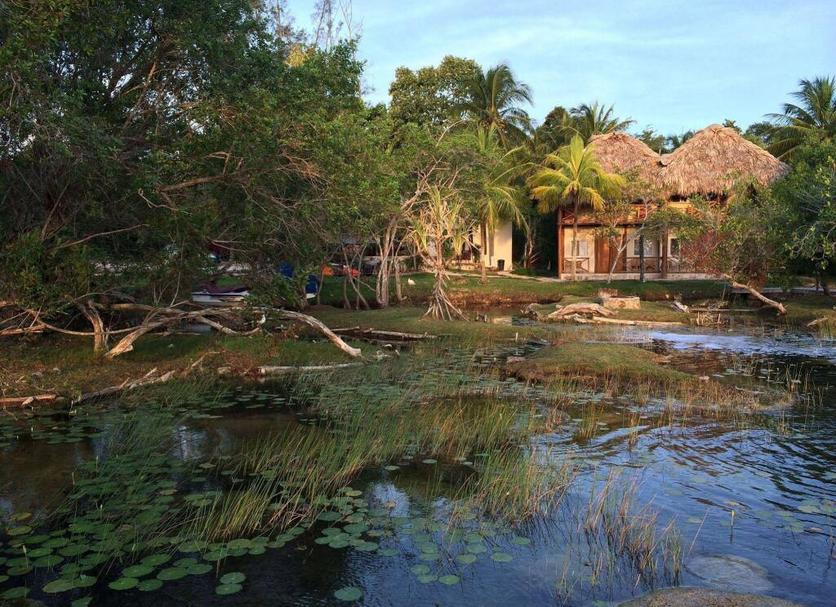 Vista del exterior Foto