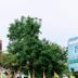 Vista del exterior