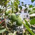 Vista del exterior