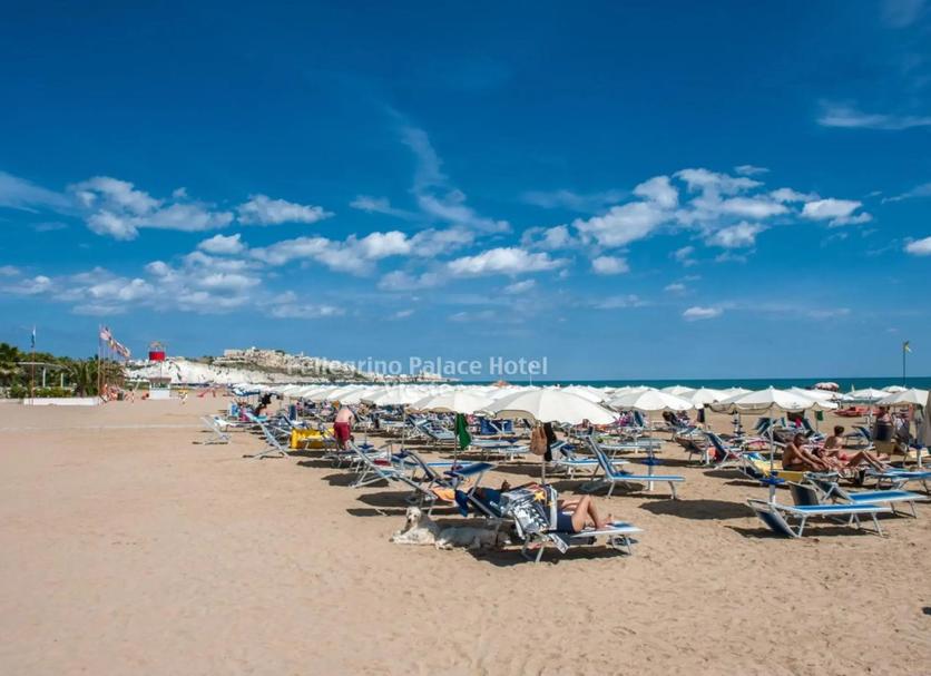 Playa Foto
