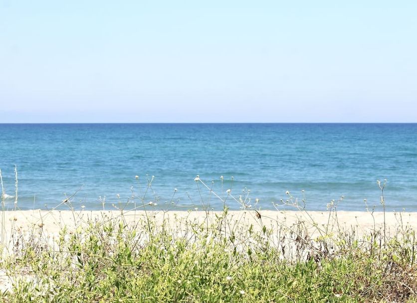 Playa Foto
