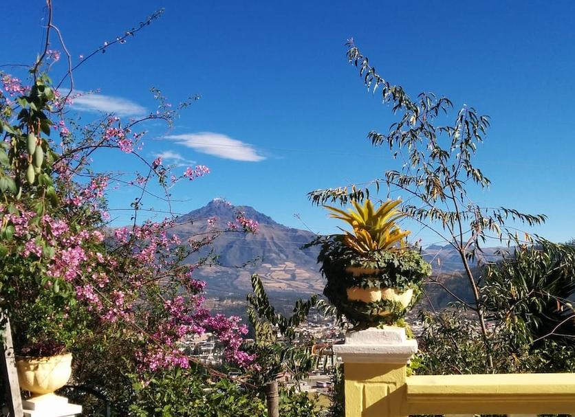 Vista del exterior Foto