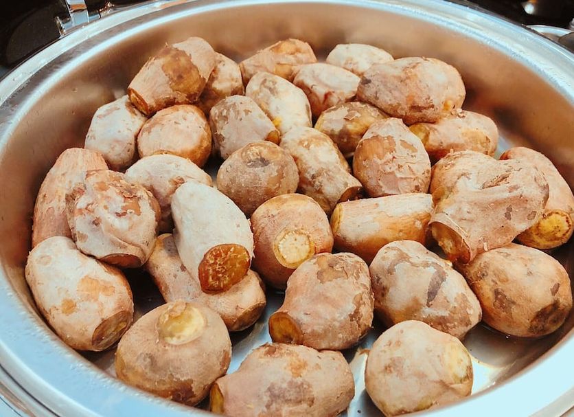 Comida Foto