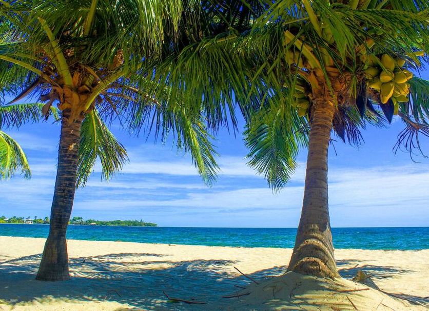 Playa Foto