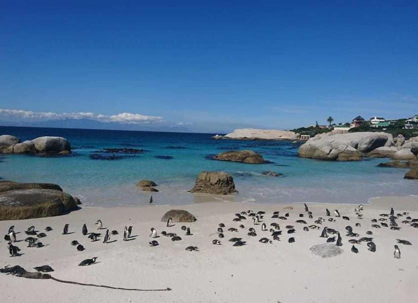 Playa Foto