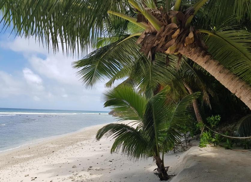 Playa Foto