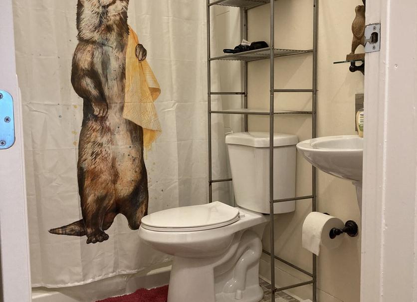Baño Foto