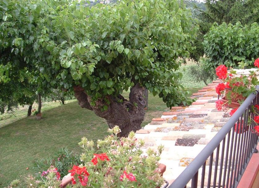 Vista del exterior Foto