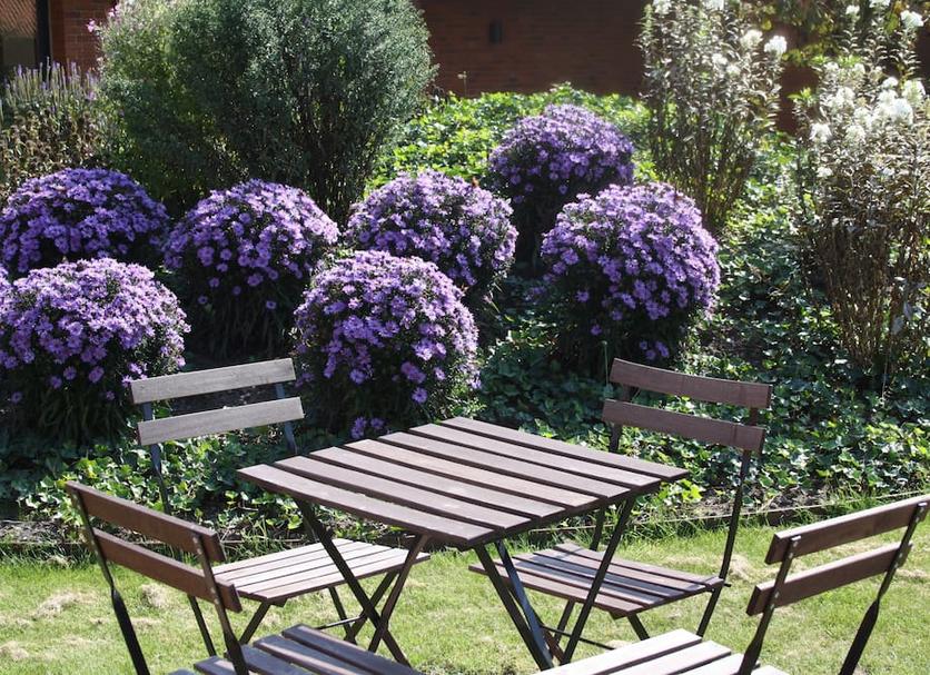 Patio Foto