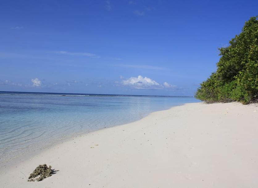 Playa Foto