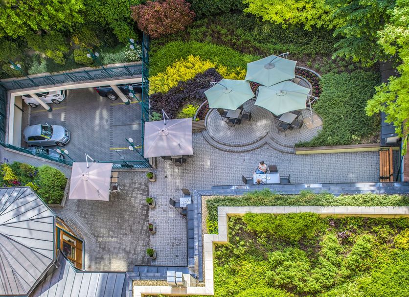 Otros Foto