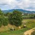 Vista del exterior