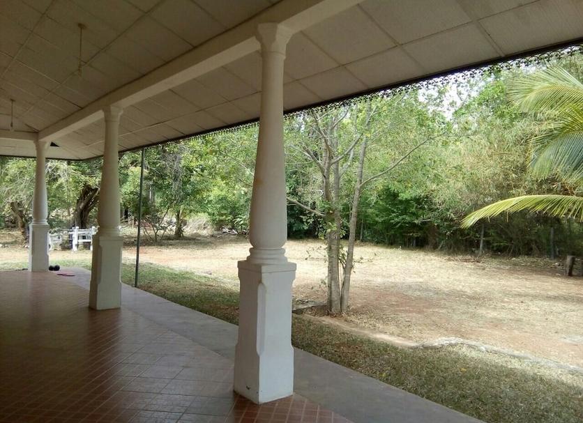 Patio Foto