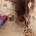 Servicio de la habitación