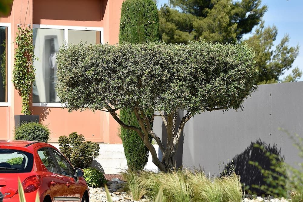 Vista del exterior