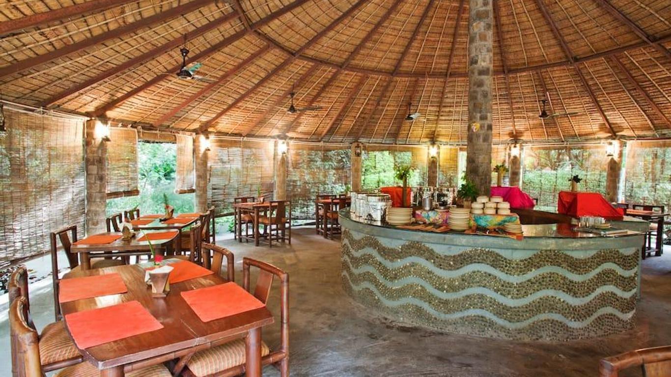 Tiger Camp