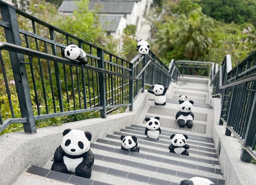 Escaleras Foto