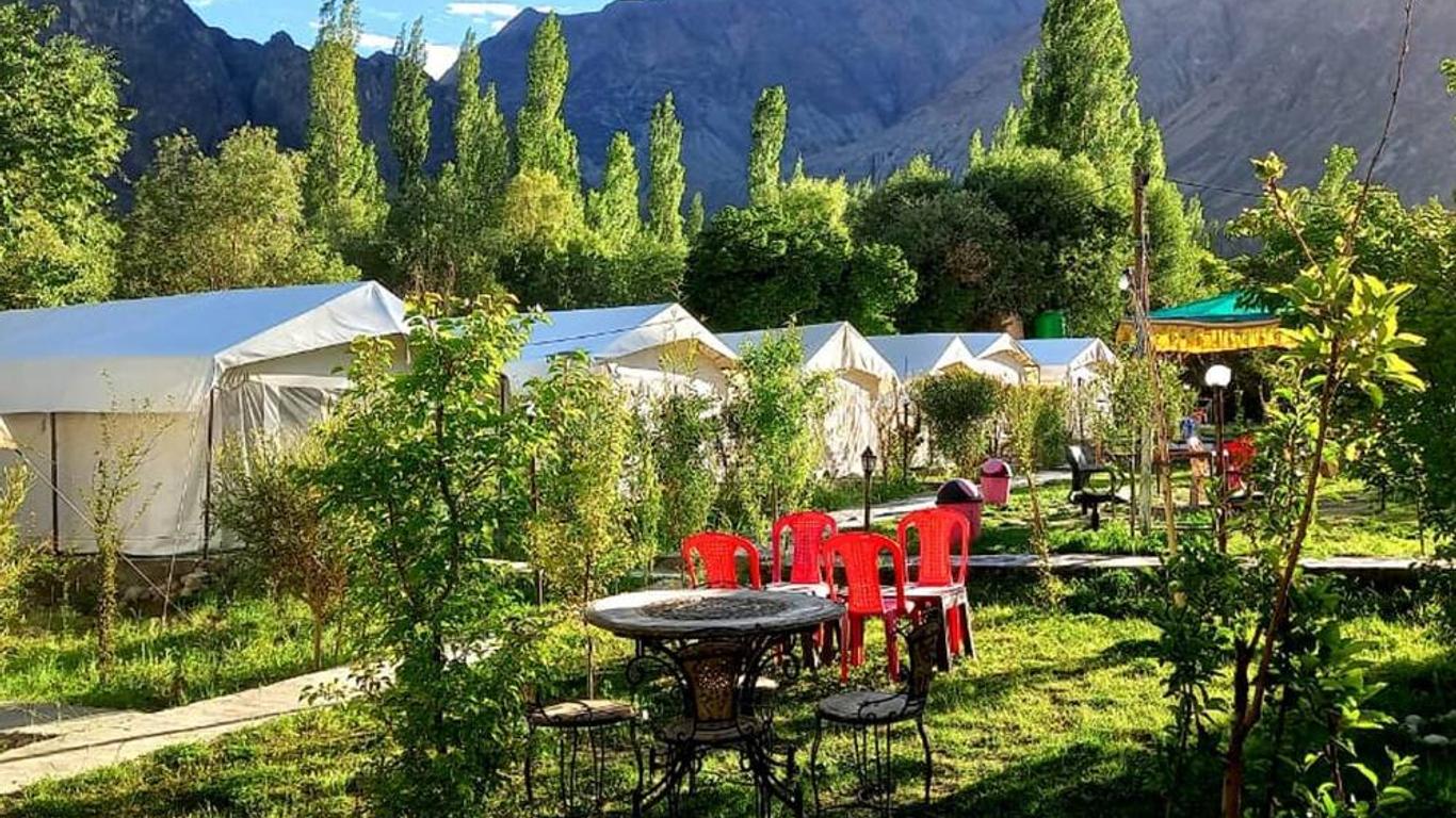 Mountain Camp