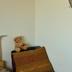 Servicio de la habitación