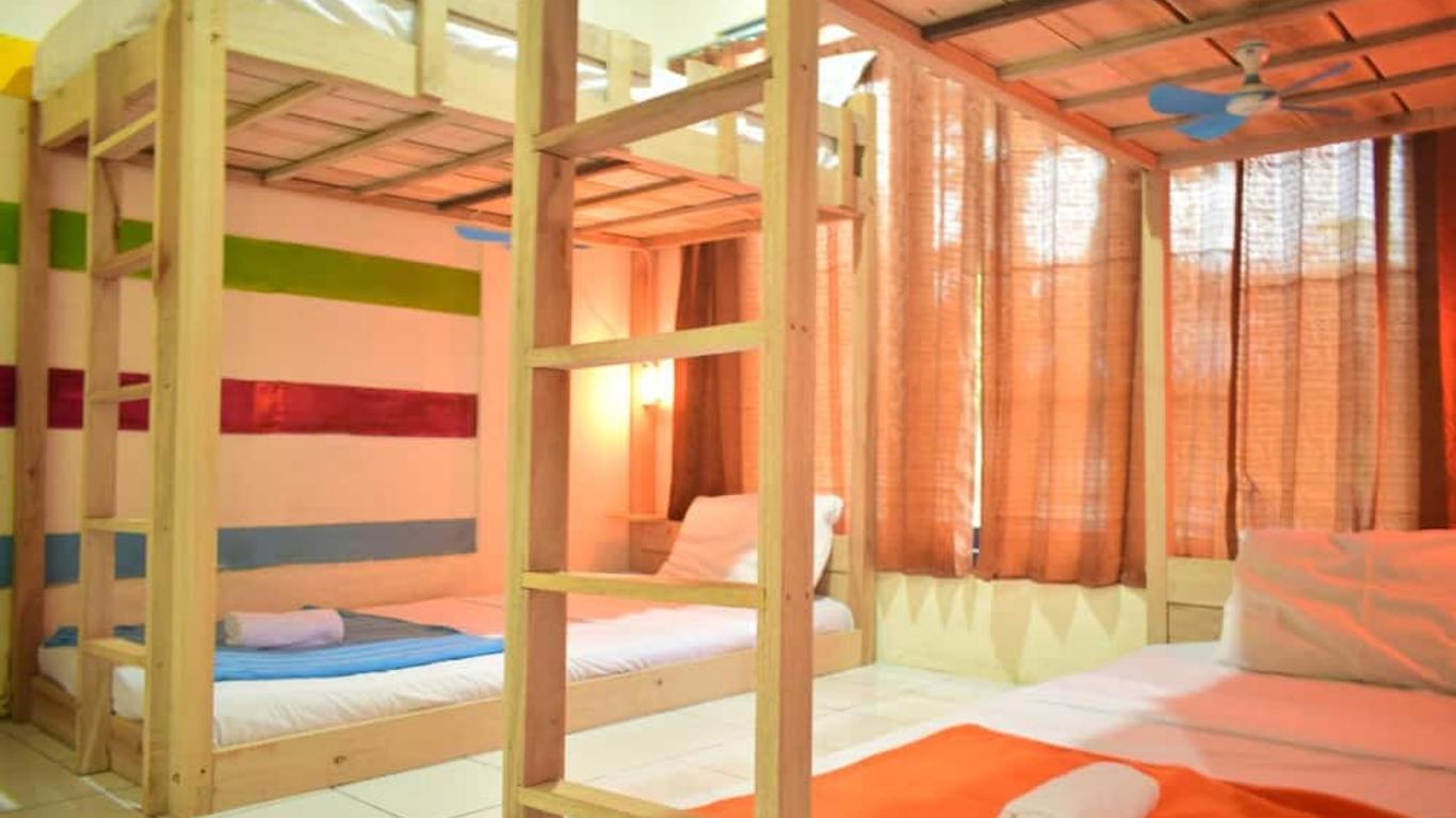 Dodo Dormitory Backpacker