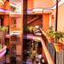 Escaleras