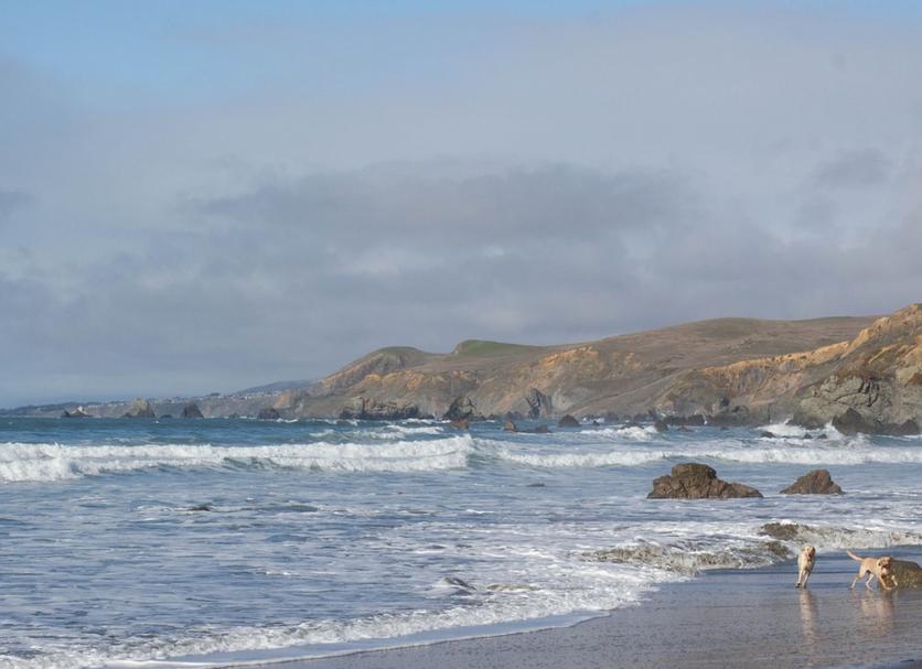 Playa Foto