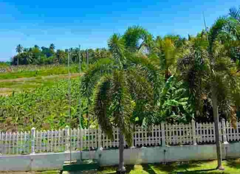Vista del exterior Foto