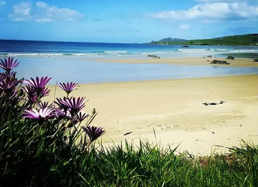 Playa Foto