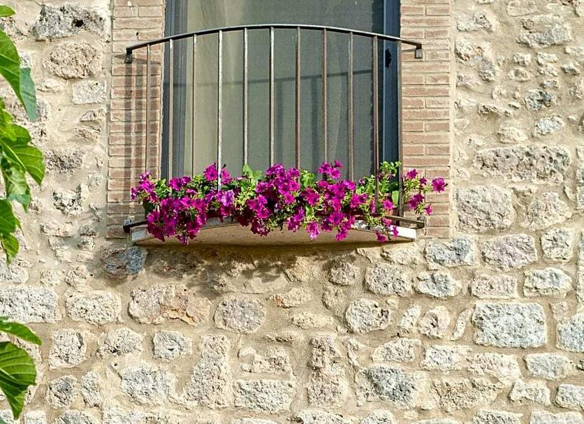 Vista del exterior Foto