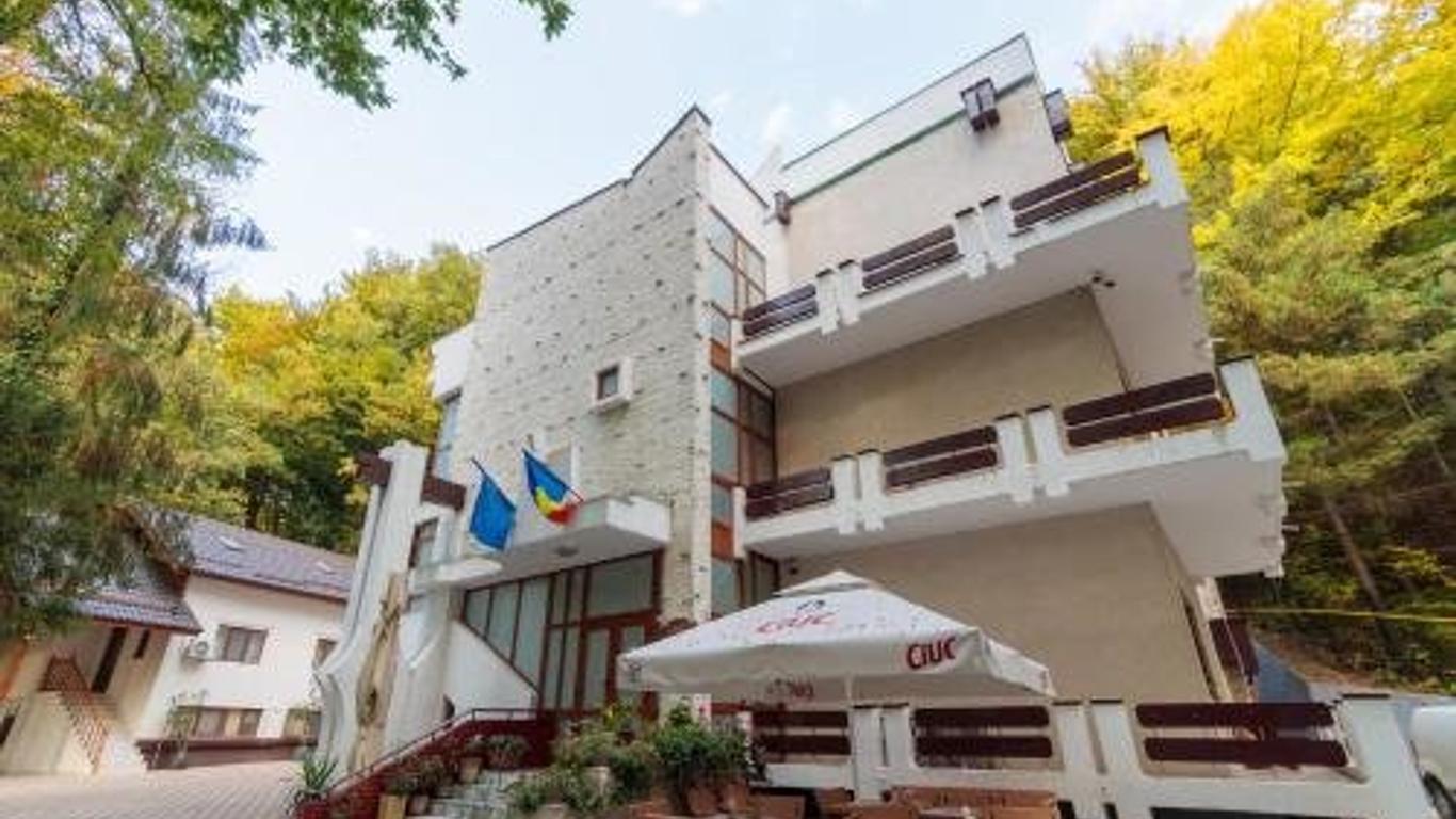 Former Ceausescu's Vila Crizantema