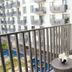 Balcón