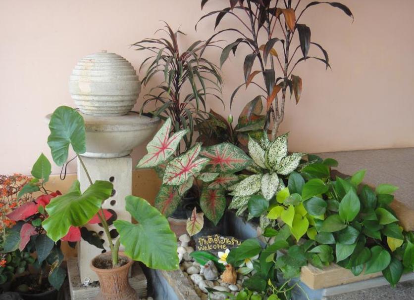 Servicio de la habitación Foto