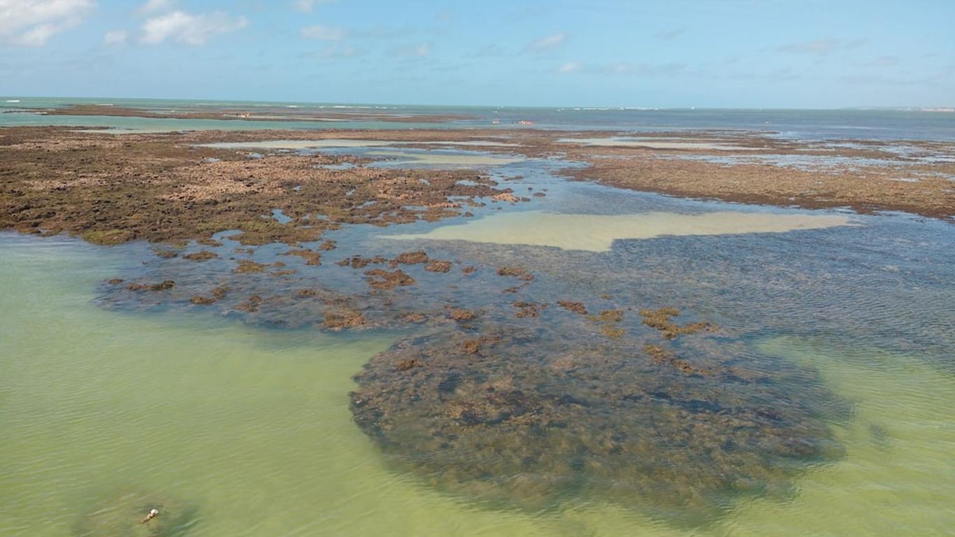Pousada dos Girassóis