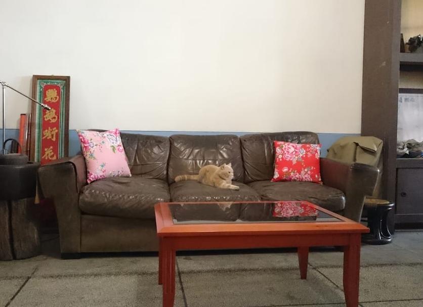 Sala de estar Foto