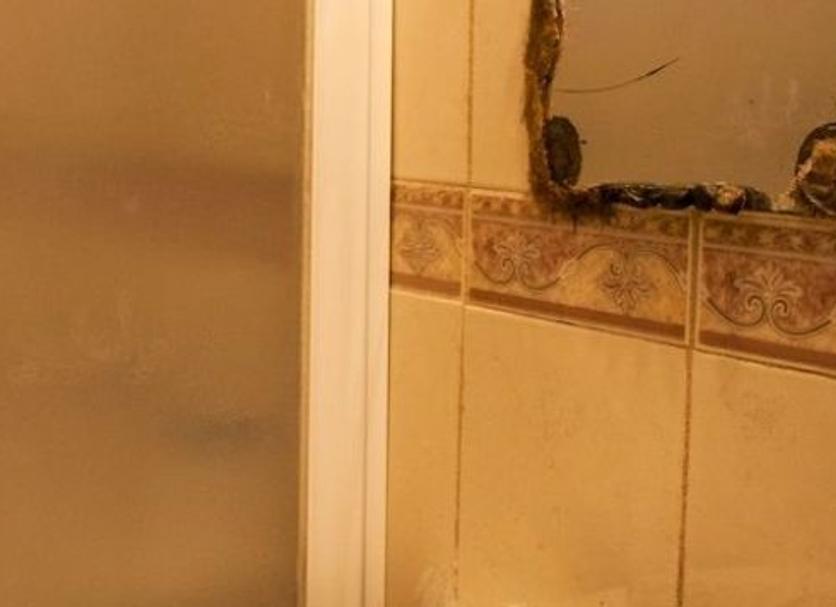 Servicio de la habitación Foto