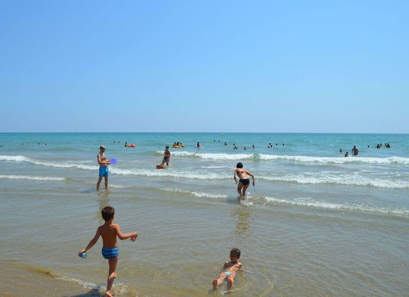 Otros Foto