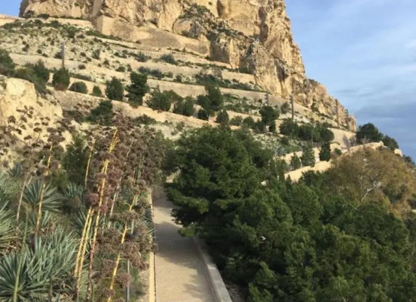 Vista del exterior Foto