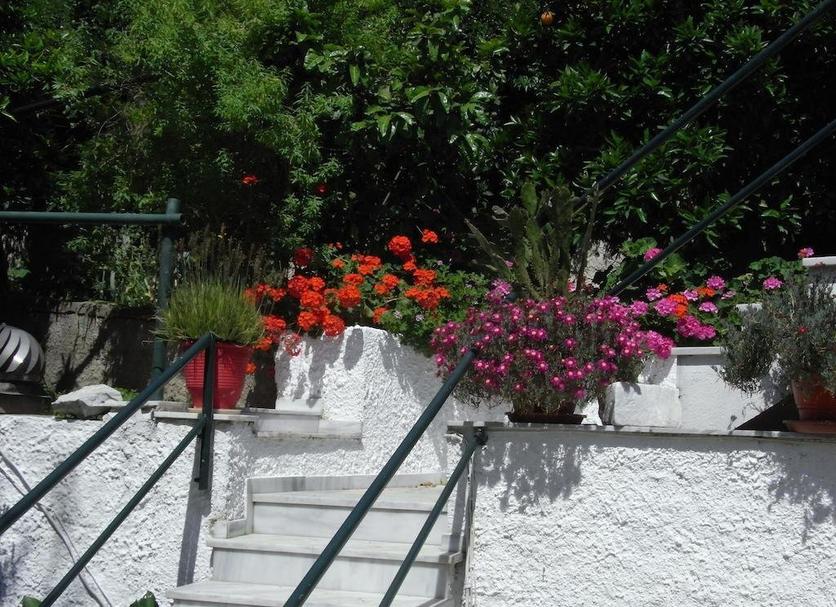 Vista del exterior Foto