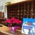 Recepción