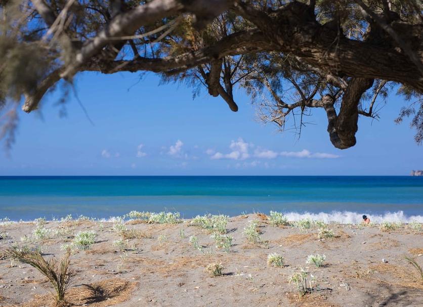 Playa Foto