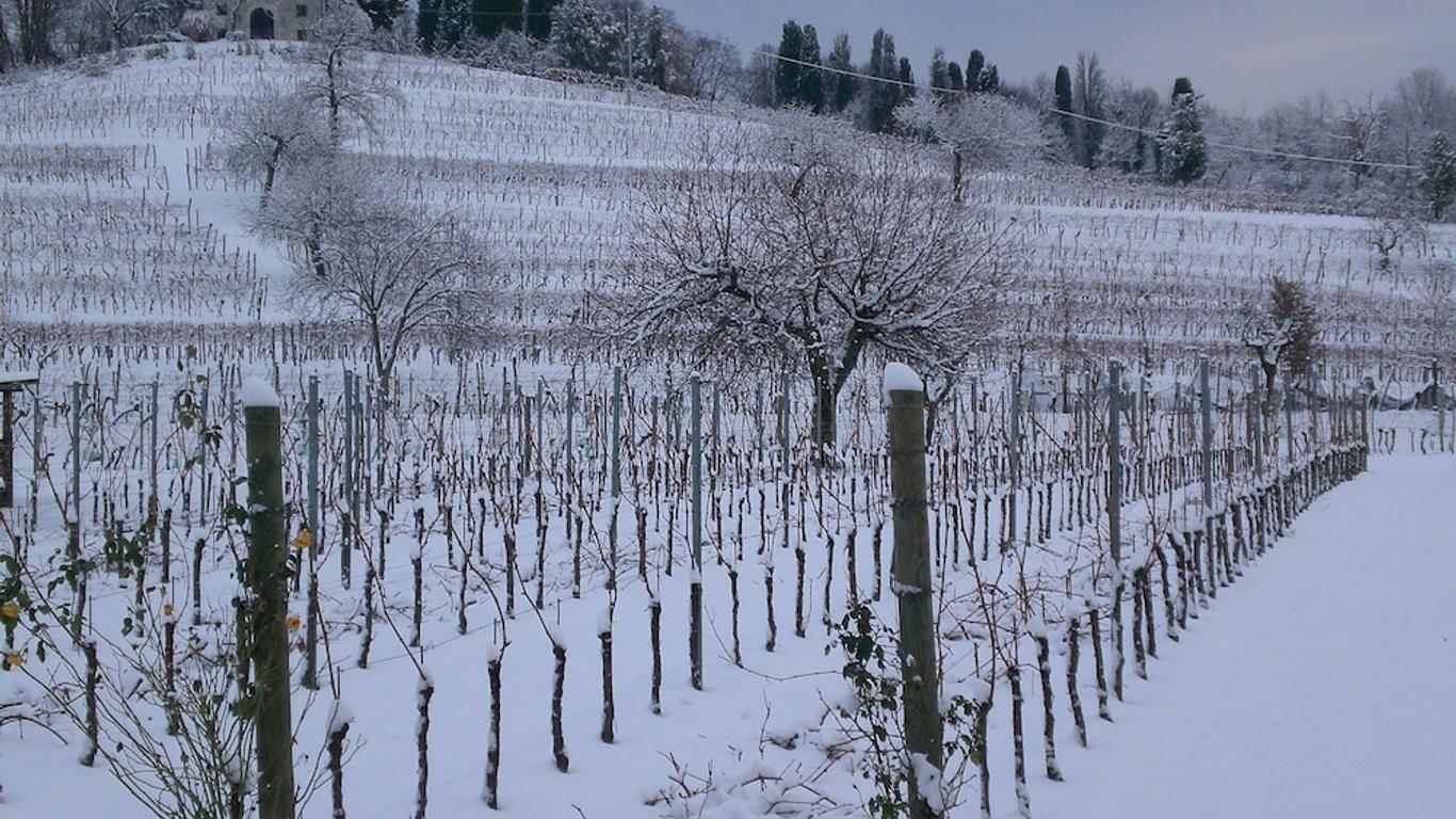 Agriturismo Giorgio Colutta